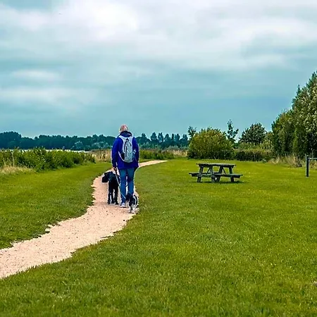 Sustainable Water With Dishwasher, By A Medemblik