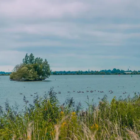 Sustainable Water With Dishwasher, By A Medemblik